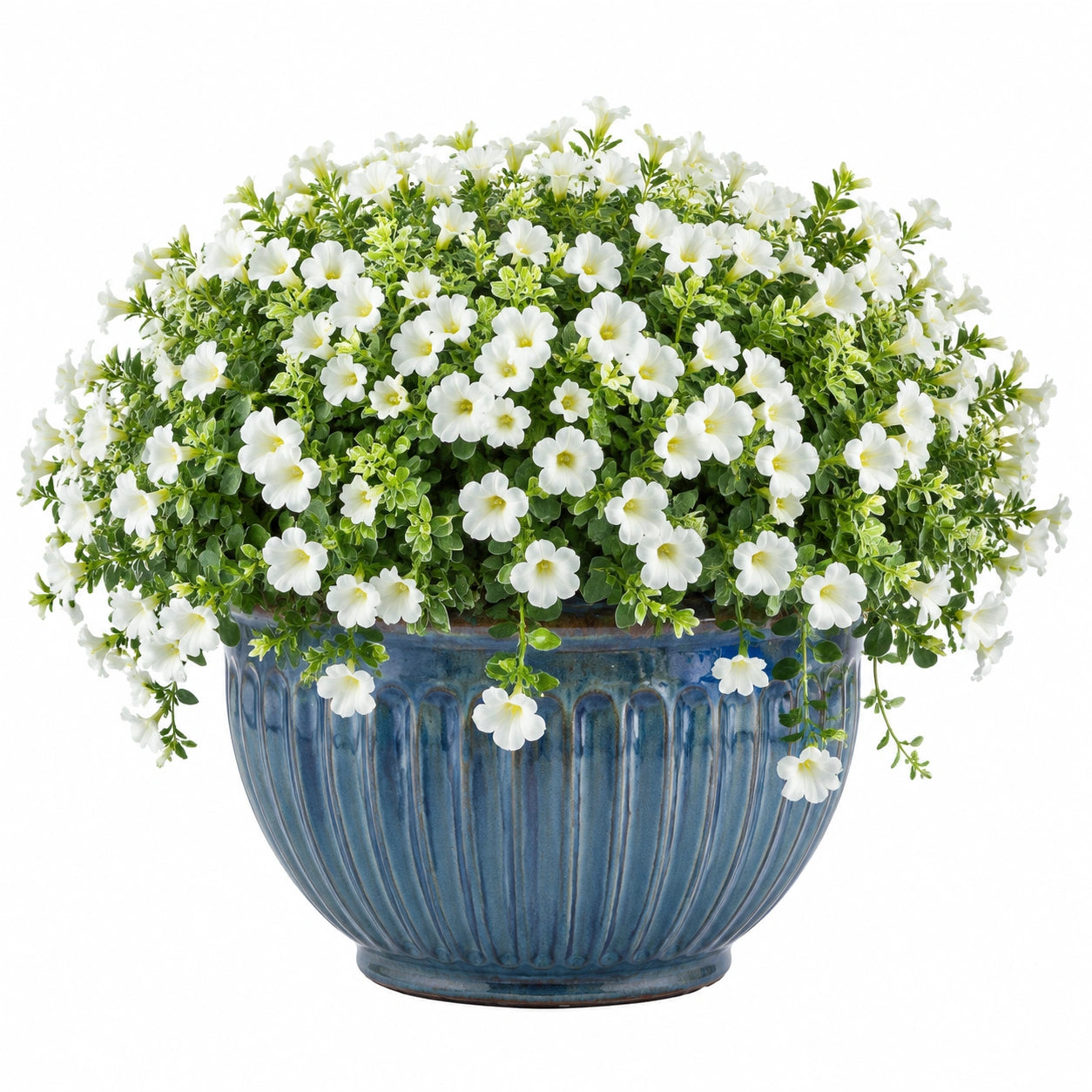 Plante artificielle en pot 45 cm fleurs blanches feuillage vert pot en céramique bleu décoratif intérieur